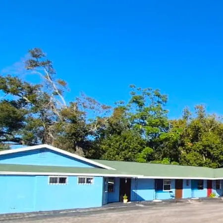Antigua Motel By Oyo Tampa Us - 41-2