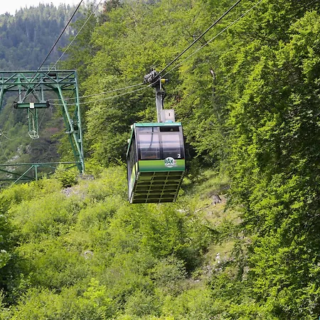 Scharfegger's Raxalpenhof - Zuhause am Land-2