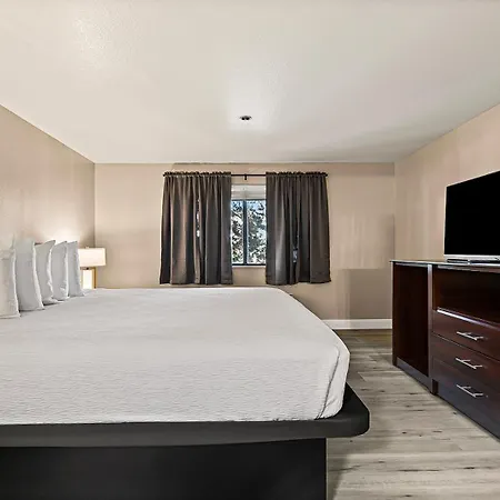Best Western Plus Orchid Hotel&Suites-3