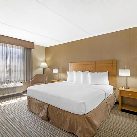 Best Western Royal Plaza Hotel&Trade Center-3