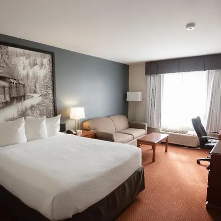 Super 8 By Wyndham Whitecourt-2