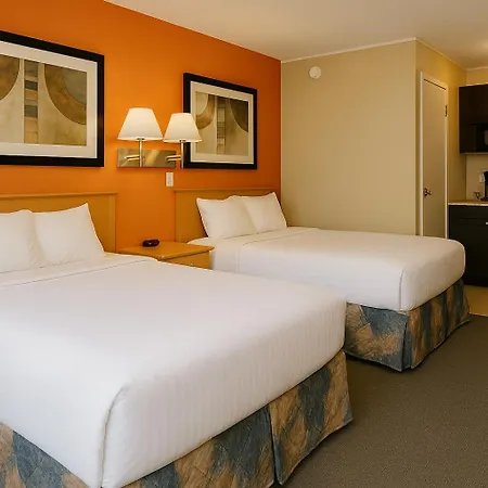 Best Maple Inn - Drayton Valley-2