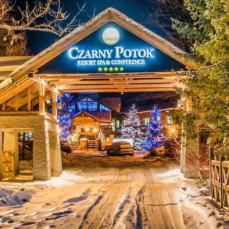 Hotel Czarny Potok Resort Spa & Conference-3