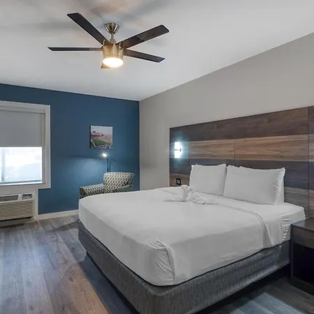 Hom Hotel Gainesville, Surestay Collection By Best Western-2