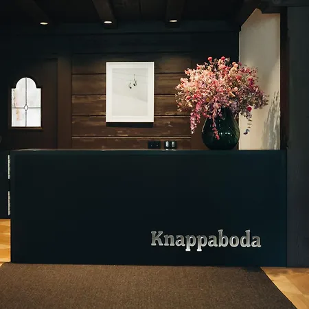 Appart Hotel Knappaboda-3