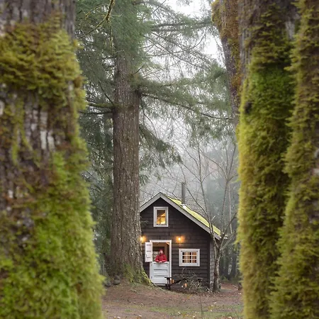 Sunwolf Riverside Cabins-3