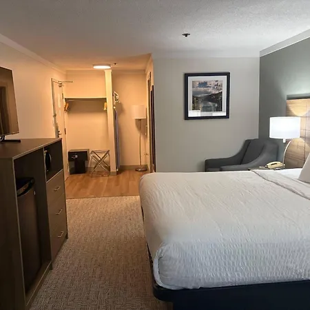 Quality Inn & Suites-3