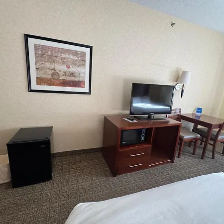 Comfort Inn & Suites Hamburg - Buffalo South-2