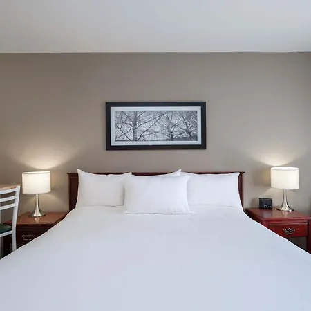 Sandman Hotel & Suites Williams Lake-2