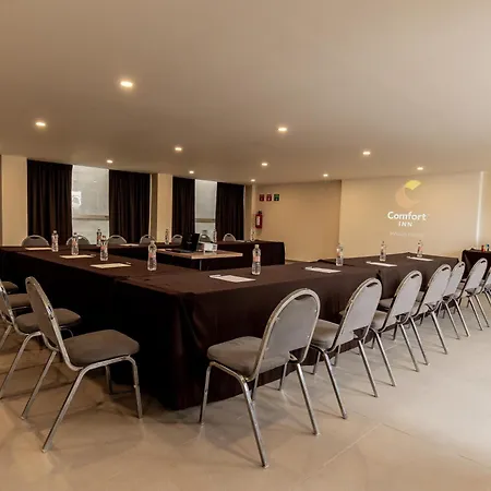 Comfort Inn San Luis Potosi-3