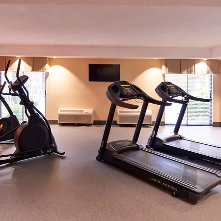 Holiday Inn Express Hotel Clearwater East - Icot Center By Ihg-2