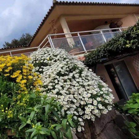 Villa Mimosa-3