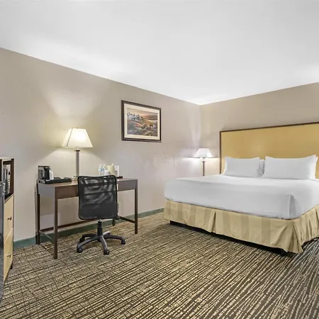 Best Western Petaluma Inn-3