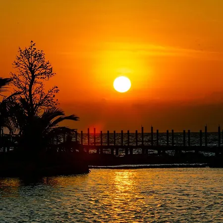 Mango Beach Resort-2