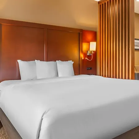 Comfort Suites Florence - Cincinnati South-3
