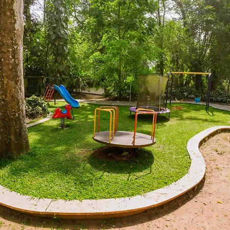 The Birchwood Retreat, Madikeri, Coorg-3