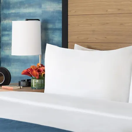 Hotel Caza-3