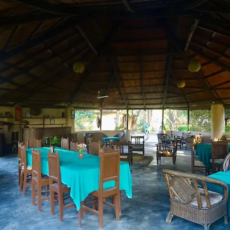 Mango Tree Lodge-3