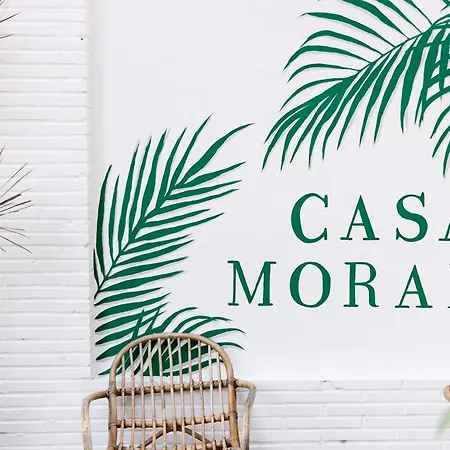 Casa Morada-2