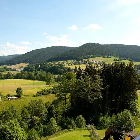 Ailwaldhof Parkhotel & Spa-2