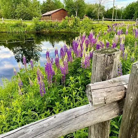 Four Nature Resort-2