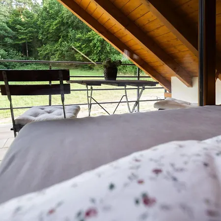 Landgut Seebühne Steigerwald - Guesthouse-3