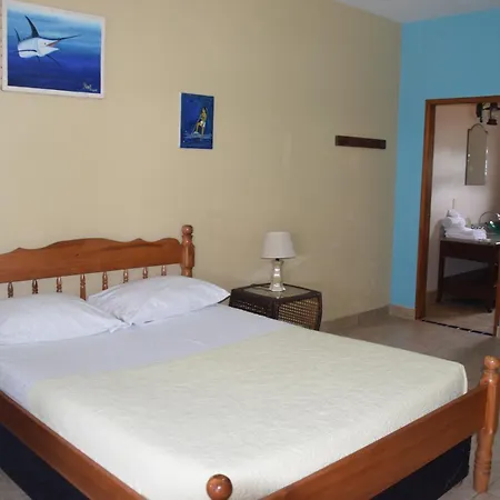 Bamboleo Inn-3