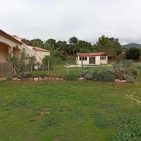 Le Pin d'Alep-3