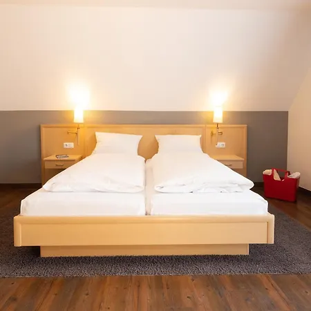 Hotel Traube Am See-3