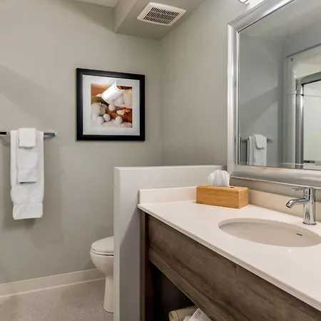 Amsterdam Inn & Suites, An Ascend Collection Hotel-2