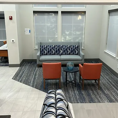 Holiday Inn Express Hotel & Suites Manteca By Ihg-2