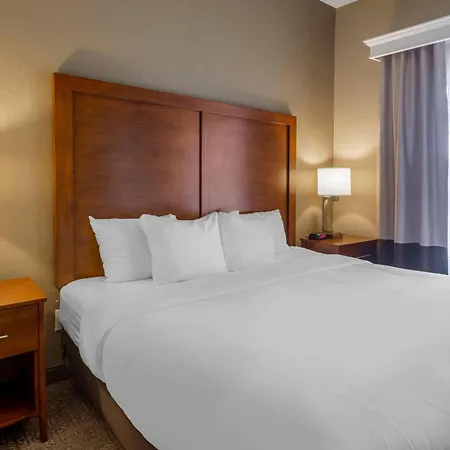 Comfort Inn & Suites Peachtree Corners - Norcross-3