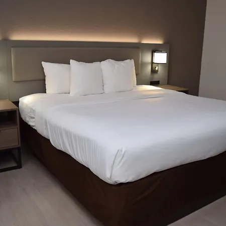 Comfort Inn & Suites Syracuse-Carrier Circle-2