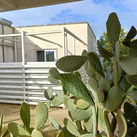 Sea Beach Home-2