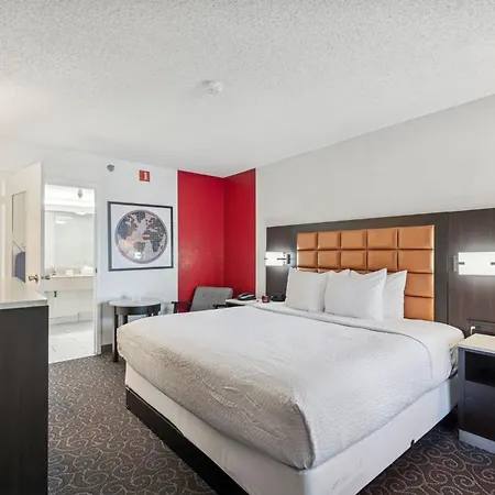 Ramada By Wyndham Temple Terrace/Tampa North-3