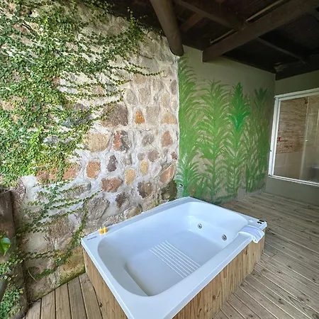 Hotel Boutique Ananas-2