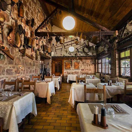 Logis Hotel Le Dahu-2