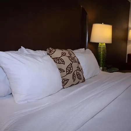Alliance Hotel & Suites, A Howard Johnson By Wyndham-2