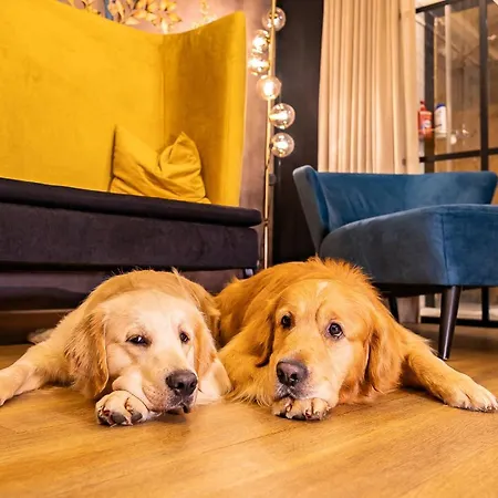 Hotel Magdalena Im Zillertal - Urlaub Mit Hund-3