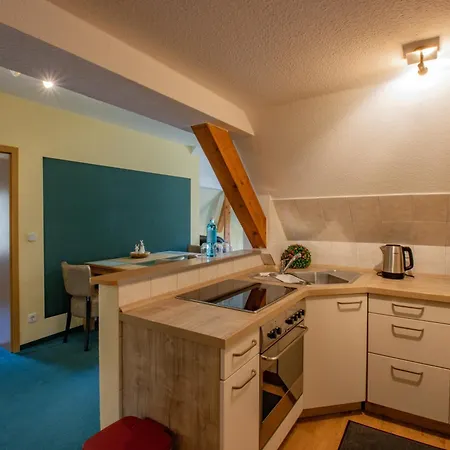 Ferien Hotel Villa Südharz-3