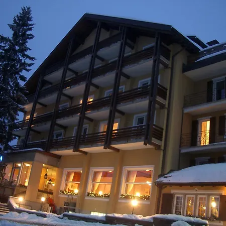 Hotel Alpina Parpan-2