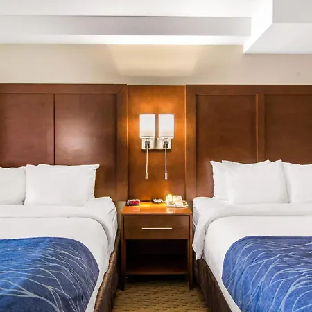 Comfort Inn & Suites-3