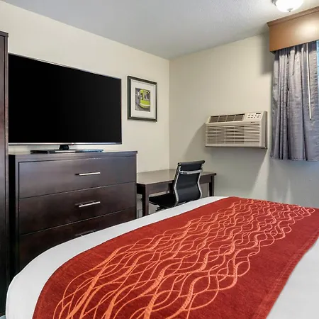 Comfort Inn & Suites Tigard Near Washington Square-3