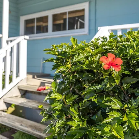 Waiheke Island Motel-3