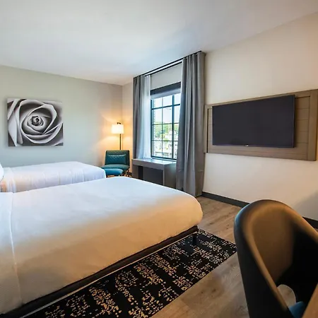 Hotel Rose-2