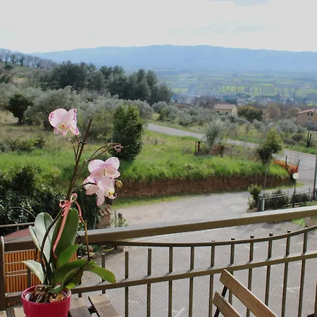 Viole Country Hotel-2