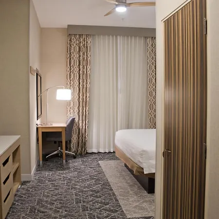Hampton Inn & Suites Denver-Speer Boulevard-3