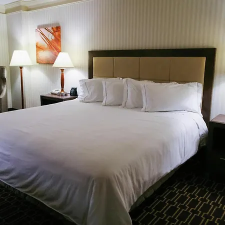 Hilton Jackson-3