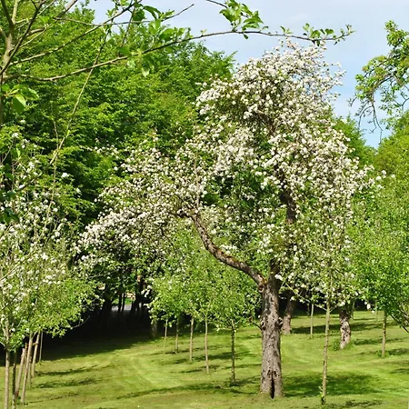 Waldhotel Rheinbach-3