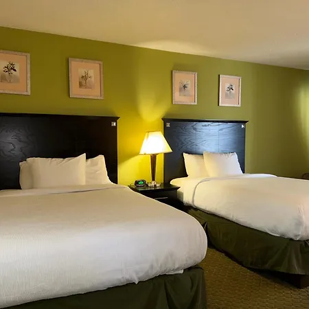 Quality Inn & Suites Moline Airport-3